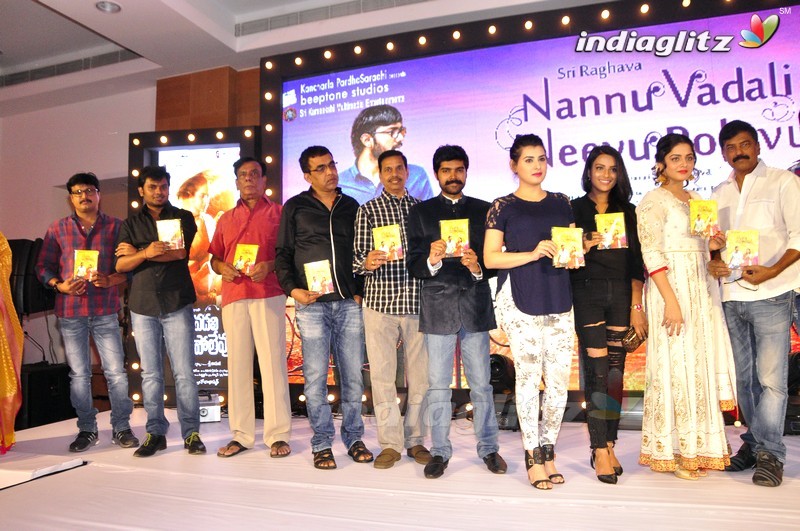 'Nannu Vadili Neevu Polevule' Audio Launch