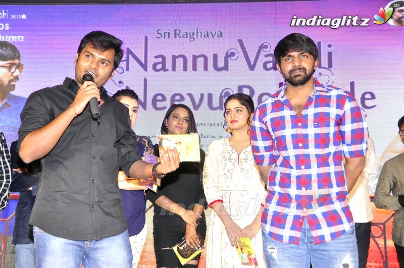 'Nannu Vadili Neevu Polevule' Audio Launch