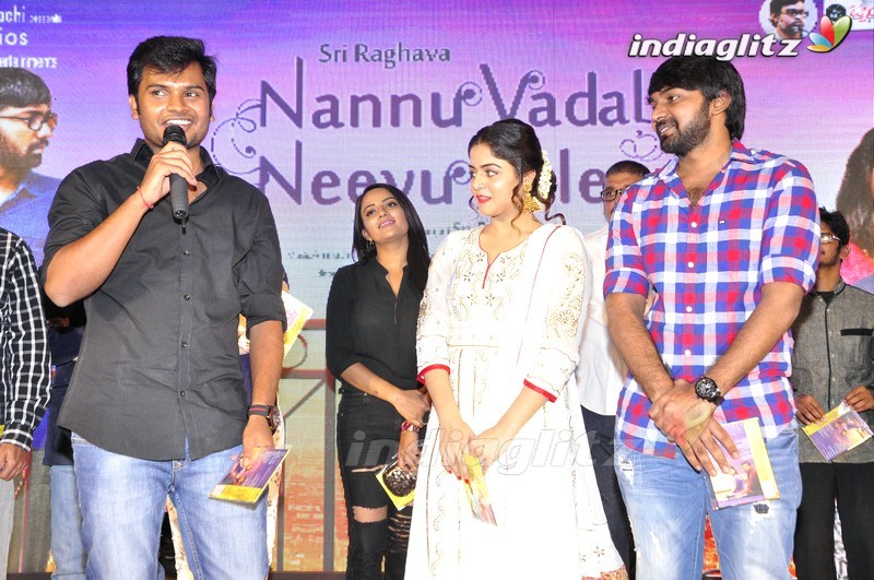 'Nannu Vadili Neevu Polevule' Audio Launch