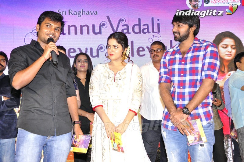 'Nannu Vadili Neevu Polevule' Audio Launch