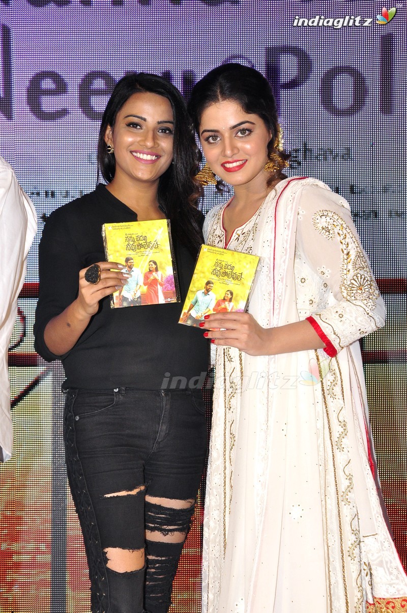 'Nannu Vadili Neevu Polevule' Audio Launch