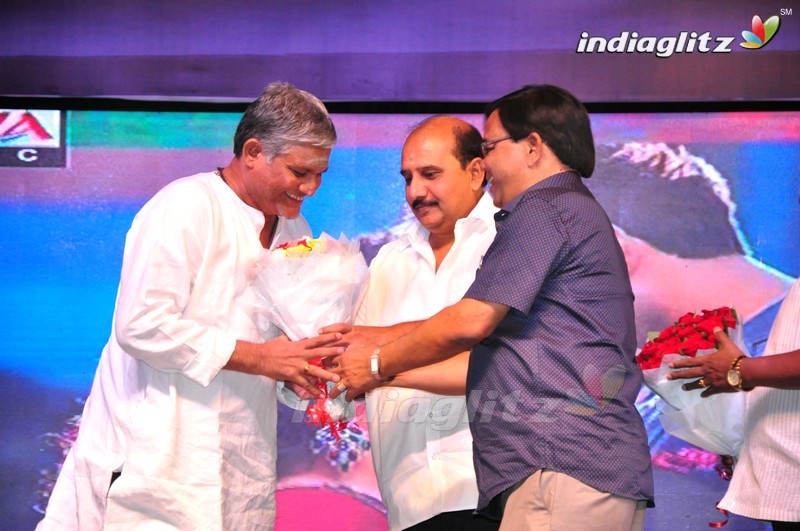 'Oka Ammayi Thappa' Audio Launch (Set-1)