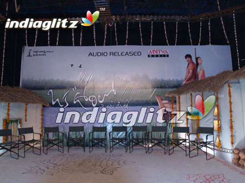 "Oka Voorilo" Audio Launch