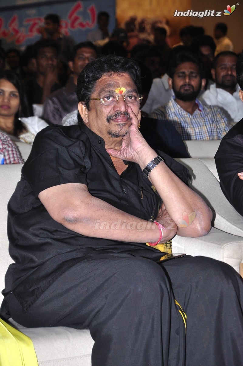 'Okkadochadu' Audio Launch (Set-2)