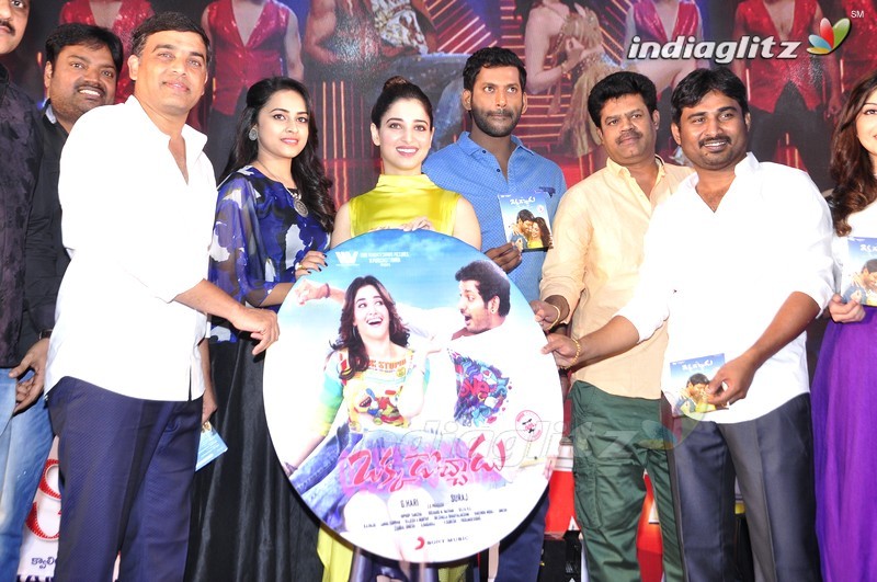 'Okkadochadu' Audio Launch (Set-2)