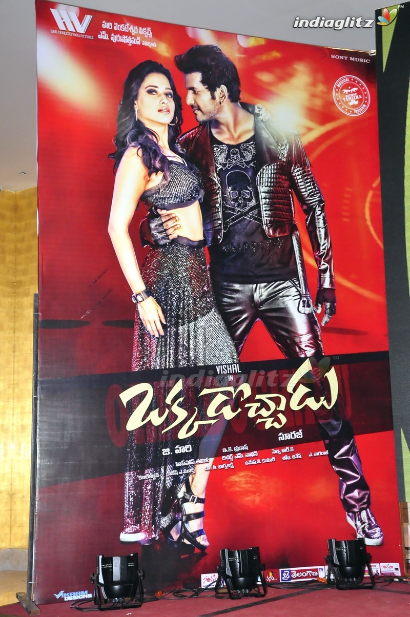 'Okkadochadu' Audio Launch (Set-1)