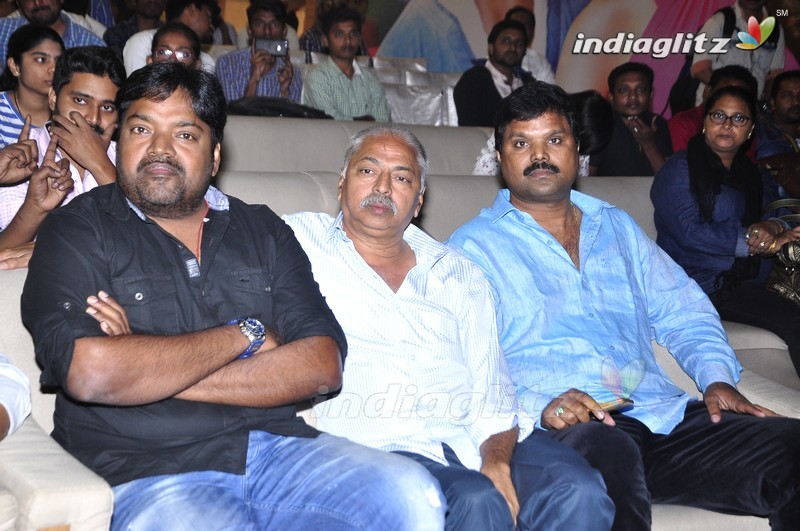 'Okkadochadu' Audio Launch (Set-1)