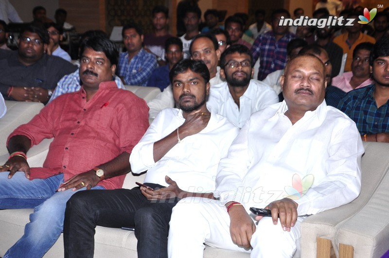 'Okkadochadu' Audio Launch (Set-1)