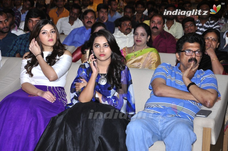 'Okkadochadu' Audio Launch (Set-1)