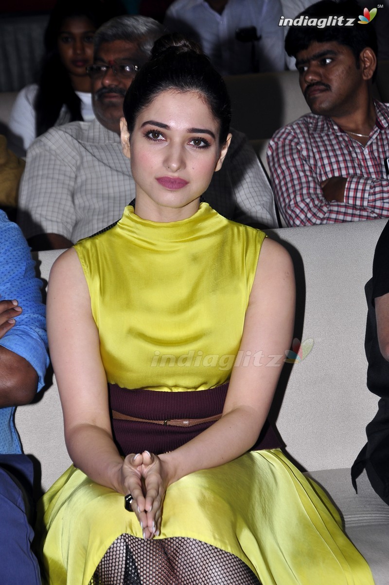 'Okkadochadu' Audio Launch (Set-1)