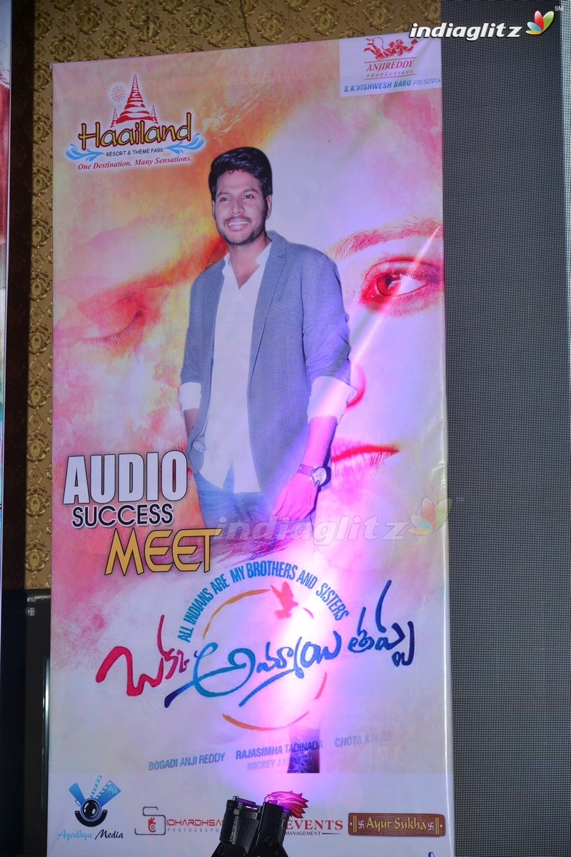 'Oka Ammayi Thappa' Audio Success Meet