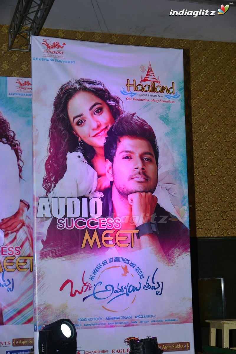 'Oka Ammayi Thappa' Audio Success Meet