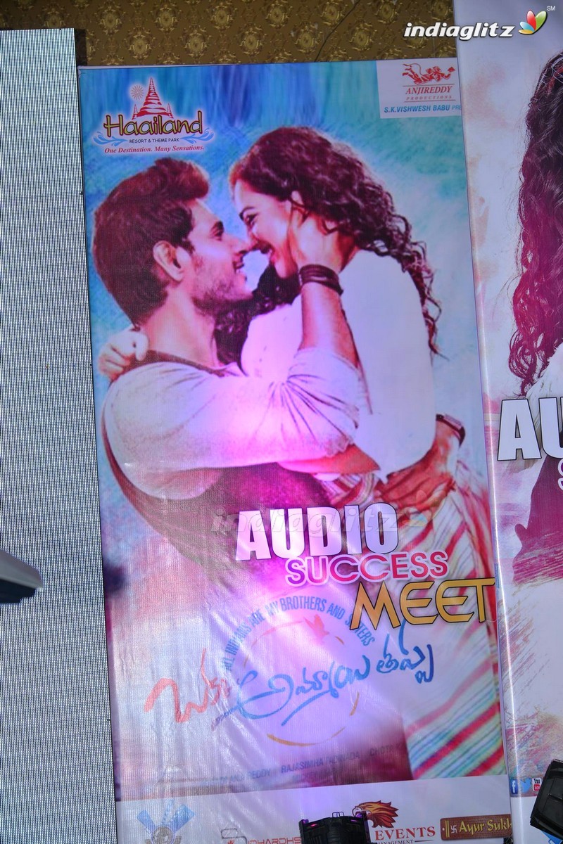 'Oka Ammayi Thappa' Audio Success Meet