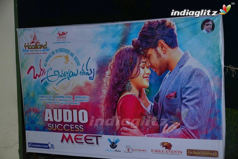 'Oka Ammayi Thappa' Audio Success Meet