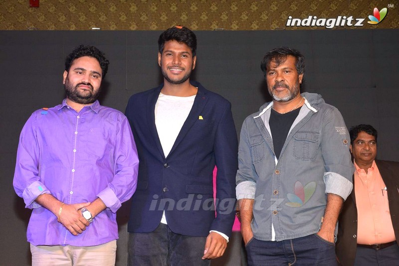 'Oka Ammayi Thappa' Audio Success Meet