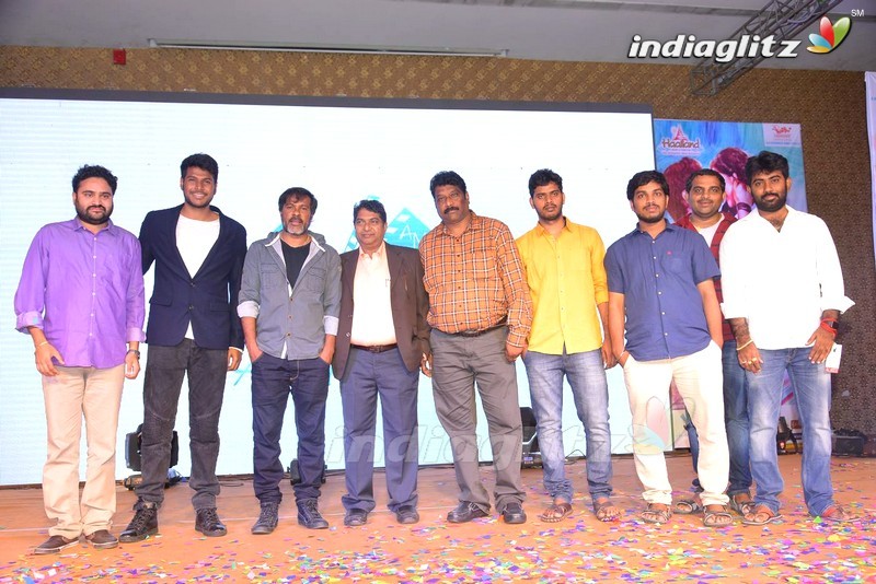 'Oka Ammayi Thappa' Audio Success Meet