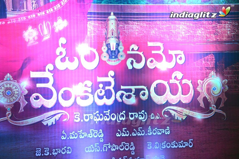 'Om Namo Venkatesaya' Audio Launch (Set-1)