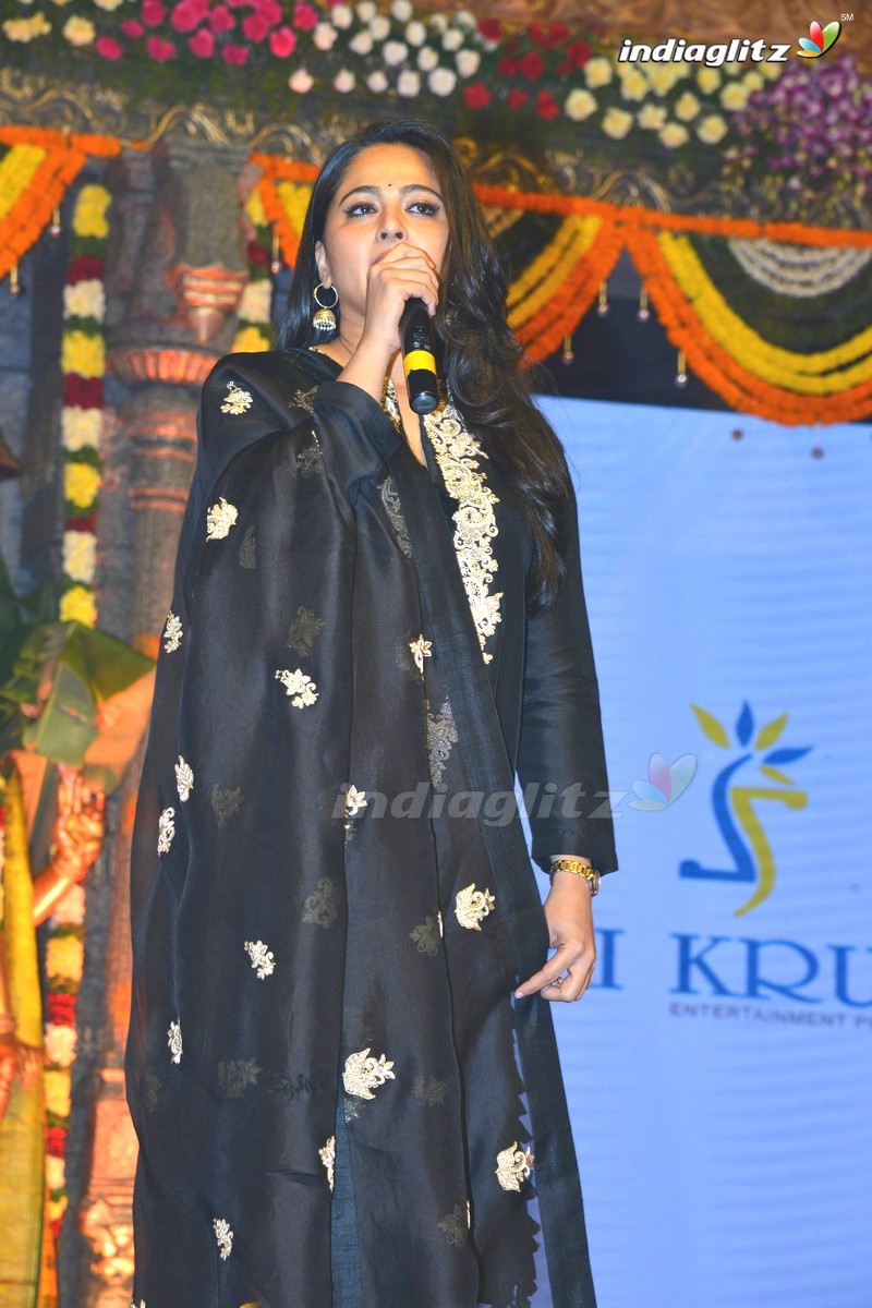 'Om Namo Venkatesaya' Audio Launch (Set-2)