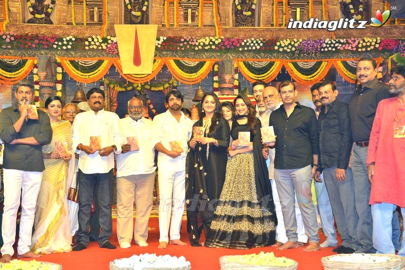 'Om Namo Venkatesaya' Audio Launch (Set-2)