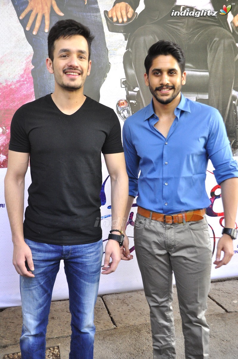 Naga Chaitanya And Akhil Launches 'Oopiri' Trailer