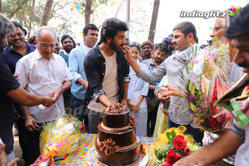 Sharwanand Birthday Celebrations