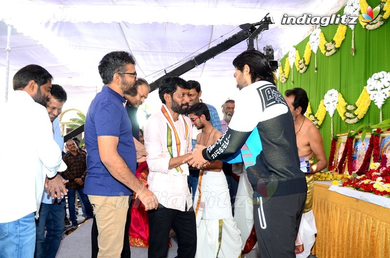 Panja Vaisshnav Tej Debut Movie Launch