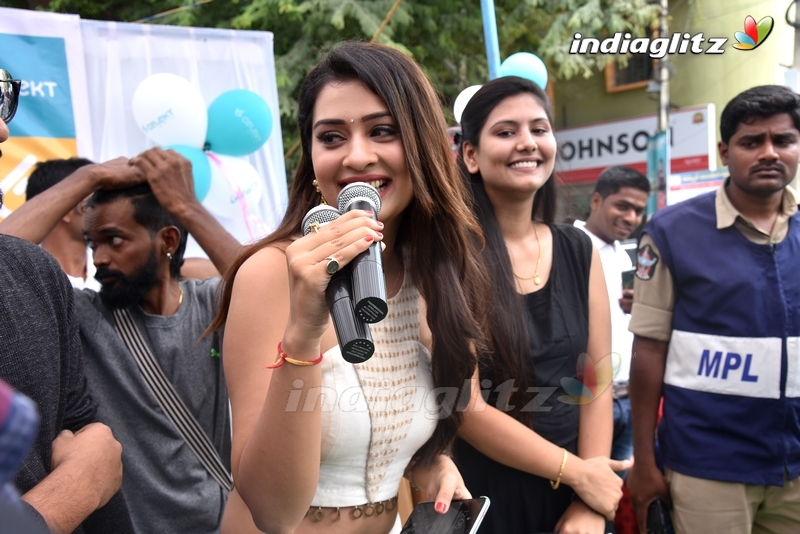 Payal Rajput @ Celekt Mobile Store Opening