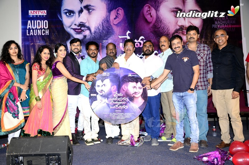 'Prema Entha Madhuram Priyuralu Antha Katinam' Audio Launch