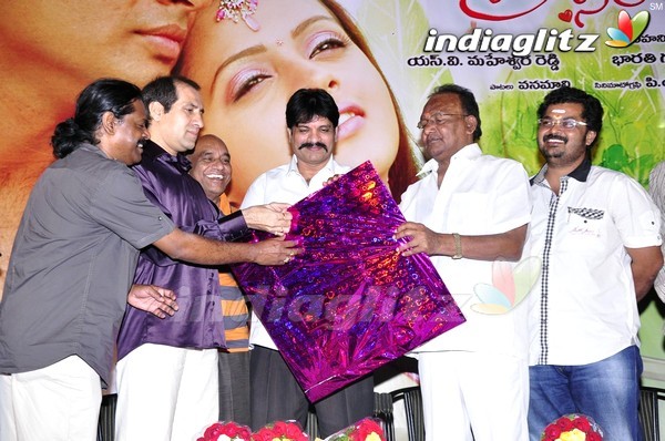 'Prema Nilayam' Audio Released