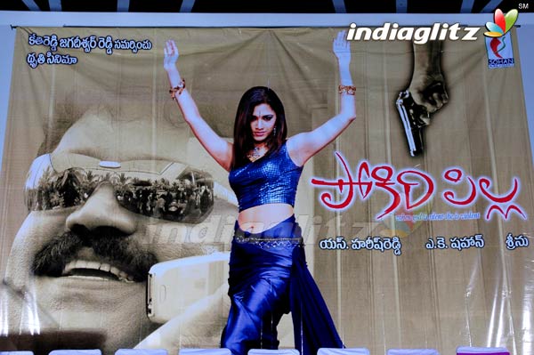 'Pokiri Pilla' Audio Launch