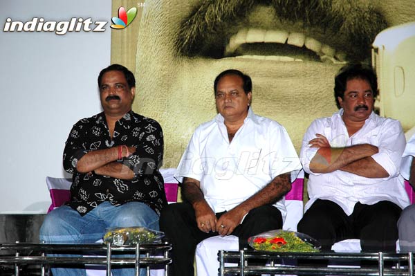 'Pokiri Pilla' Audio Launch