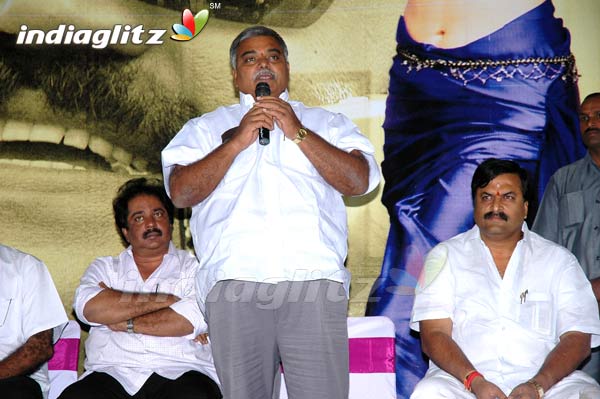 'Pokiri Pilla' Audio Launch