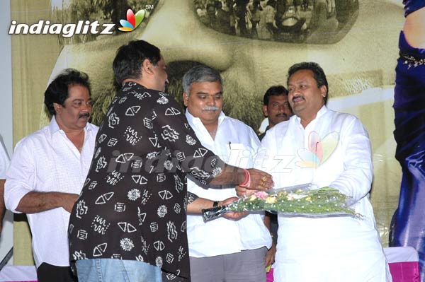 'Pokiri Pilla' Audio Launch