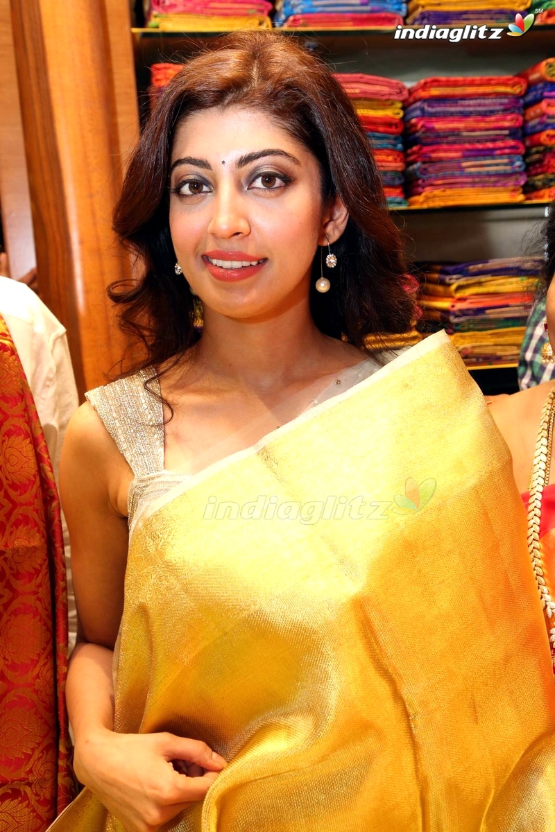 Pranitha Subhash Inaugurates Videms Silks Showroom at Vanasthalipuram