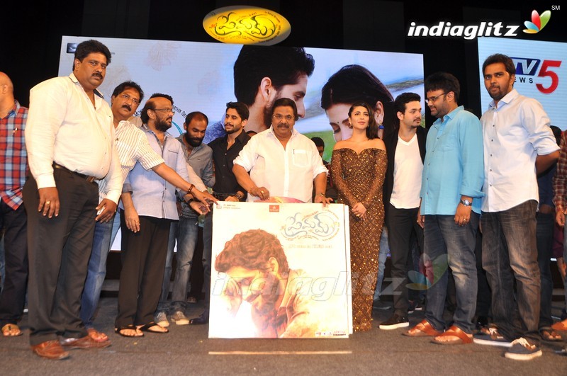 'Premam' Audio Launch (Set-2)