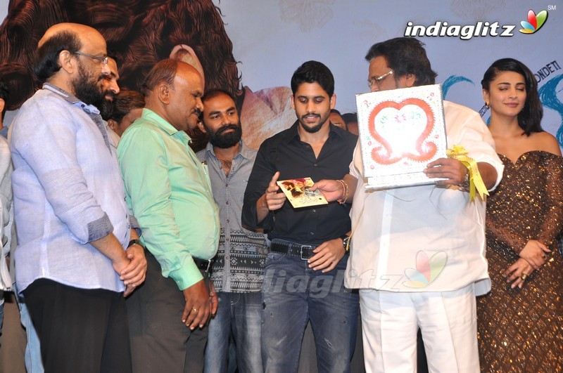 'Premam' Audio Launch (Set-2)