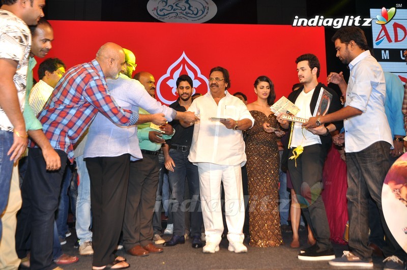 'Premam' Audio Launch (Set-2)