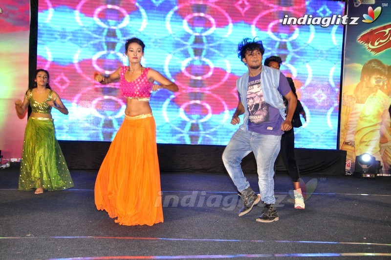 'Premikudu' Audio Launch