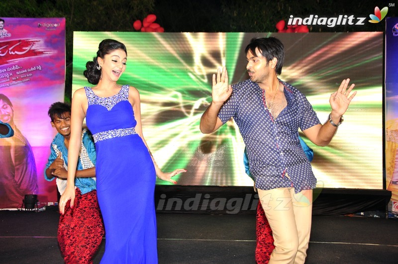 'Premikudu' Audio Launch