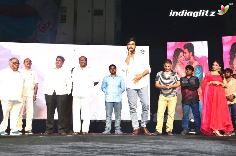 'Radha' Pre - Release Function