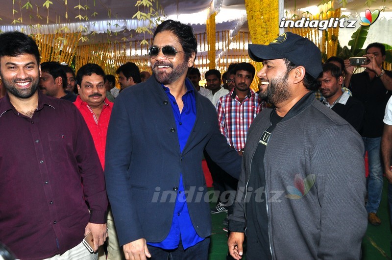 Nagarjuna's 'Raju Gari Gadhi 2' Movie Launch