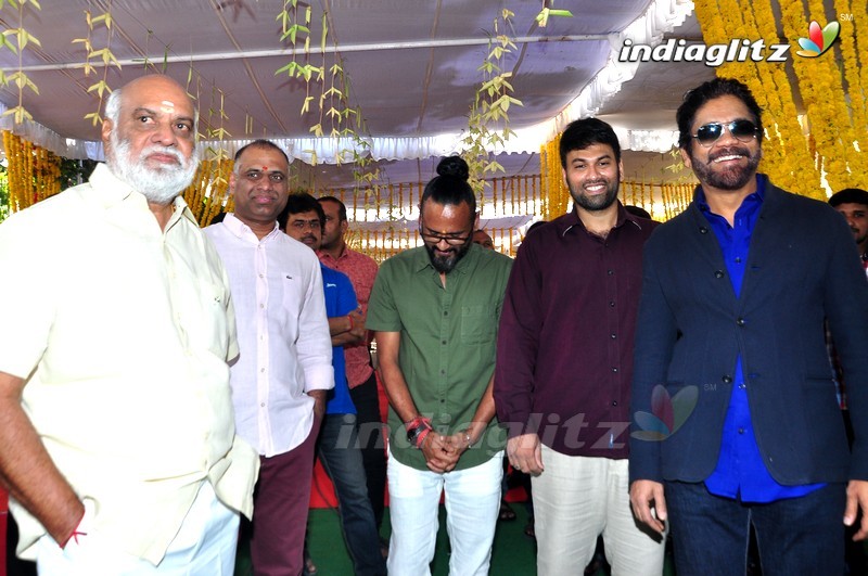 Nagarjuna's 'Raju Gari Gadhi 2' Movie Launch