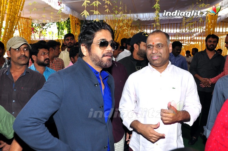 Nagarjuna's 'Raju Gari Gadhi 2' Movie Launch