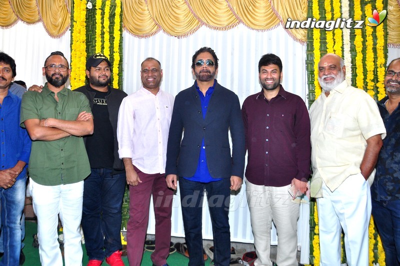 Nagarjuna's 'Raju Gari Gadhi 2' Movie Launch