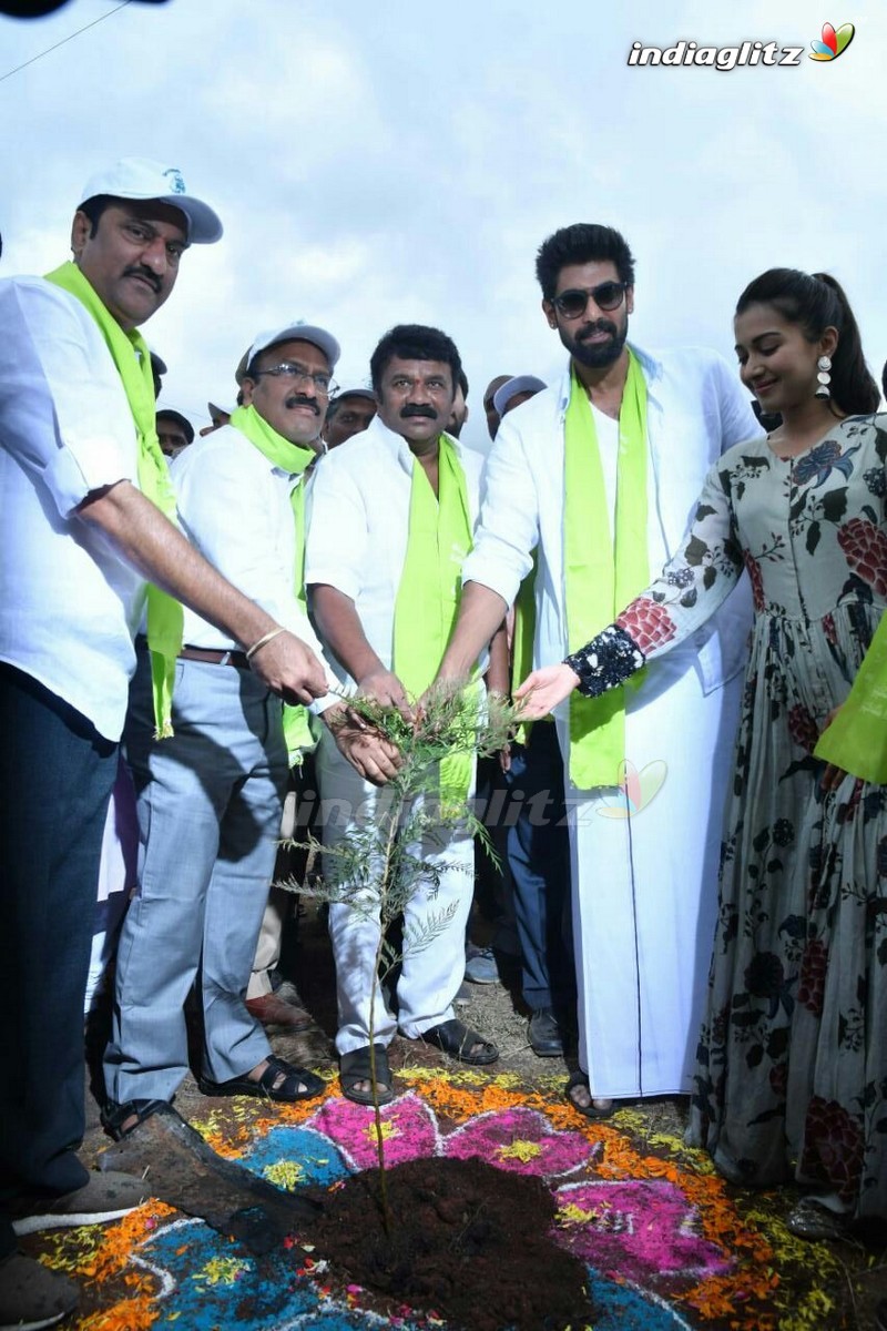 Rana @ Haritha Haram