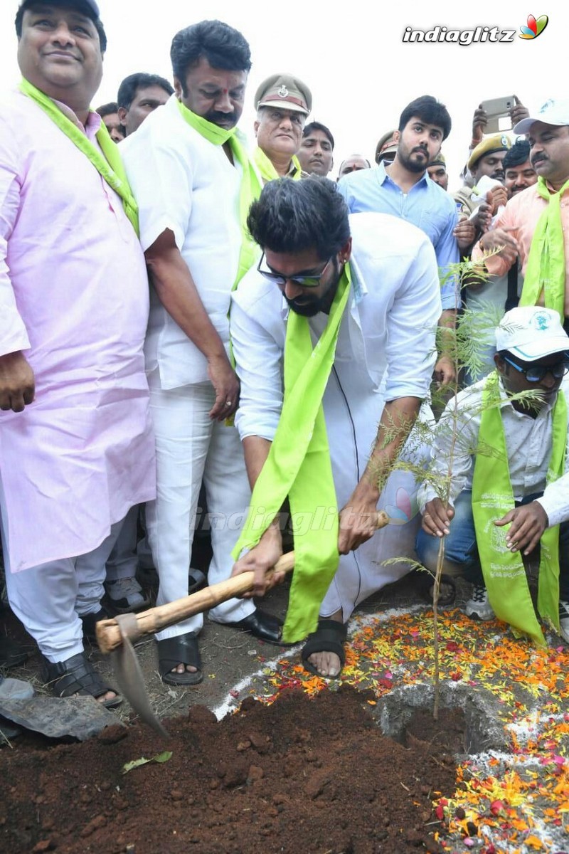 Rana @ Haritha Haram