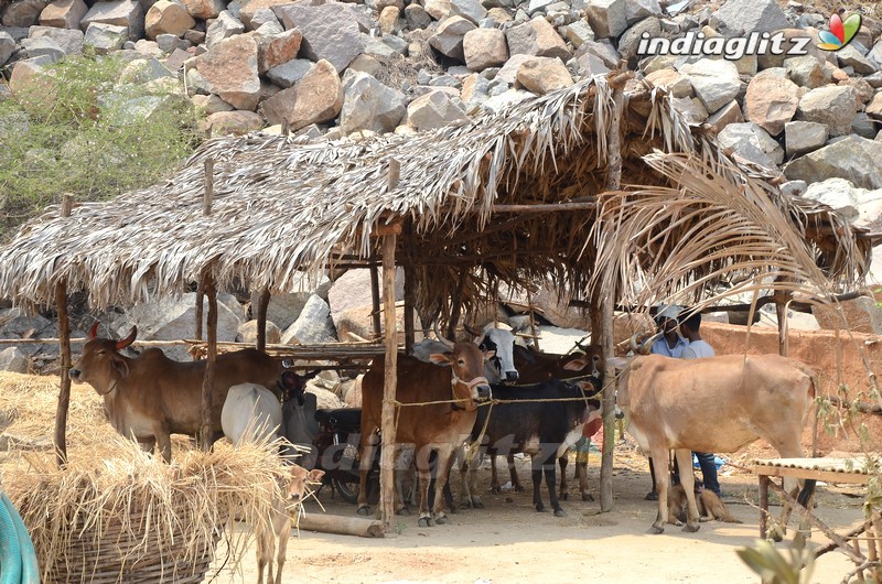 'Rangasthalam' Sets