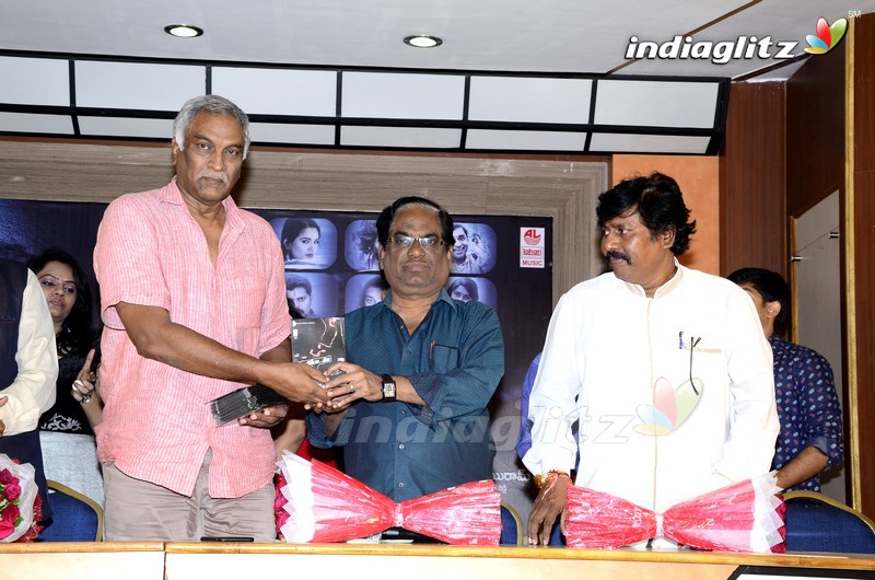 'Ravoyi Maa Intiki' Audio Launch