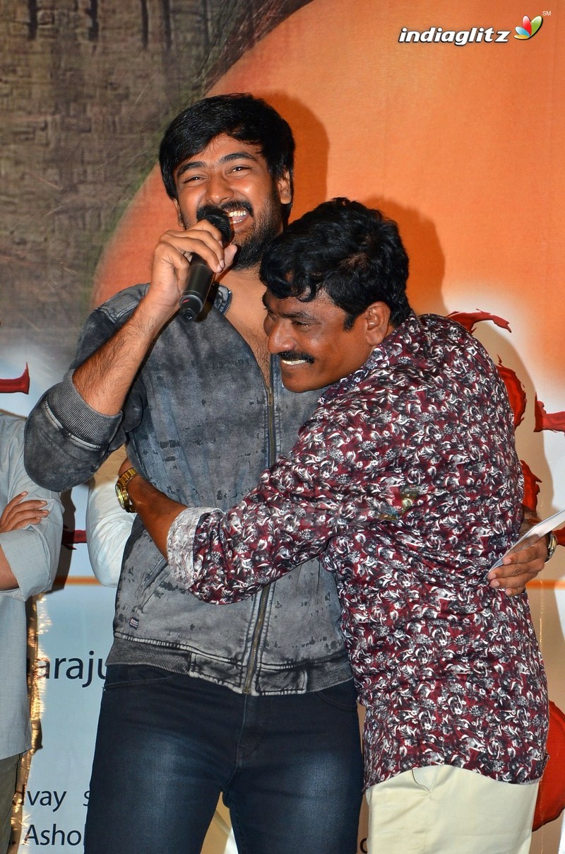 'Rayalaseema Love Story' Audio Launch