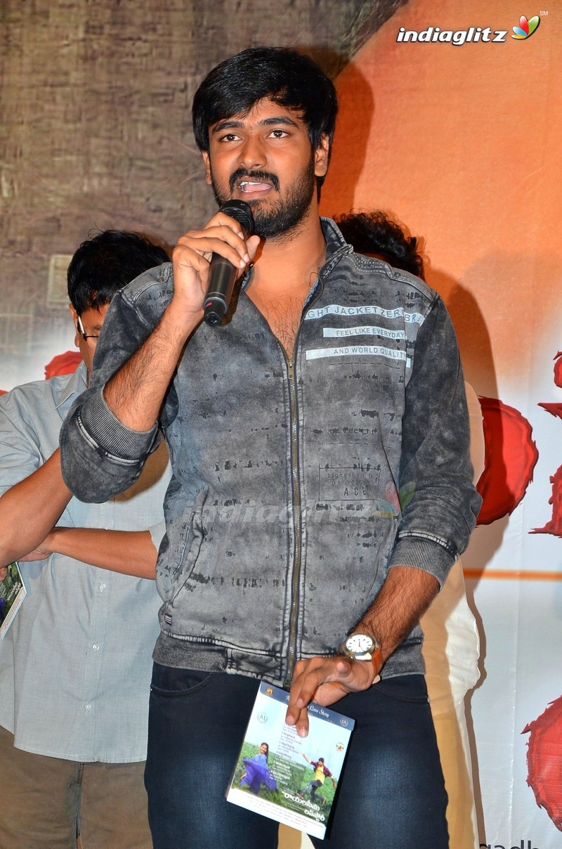 'Rayalaseema Love Story' Audio Launch